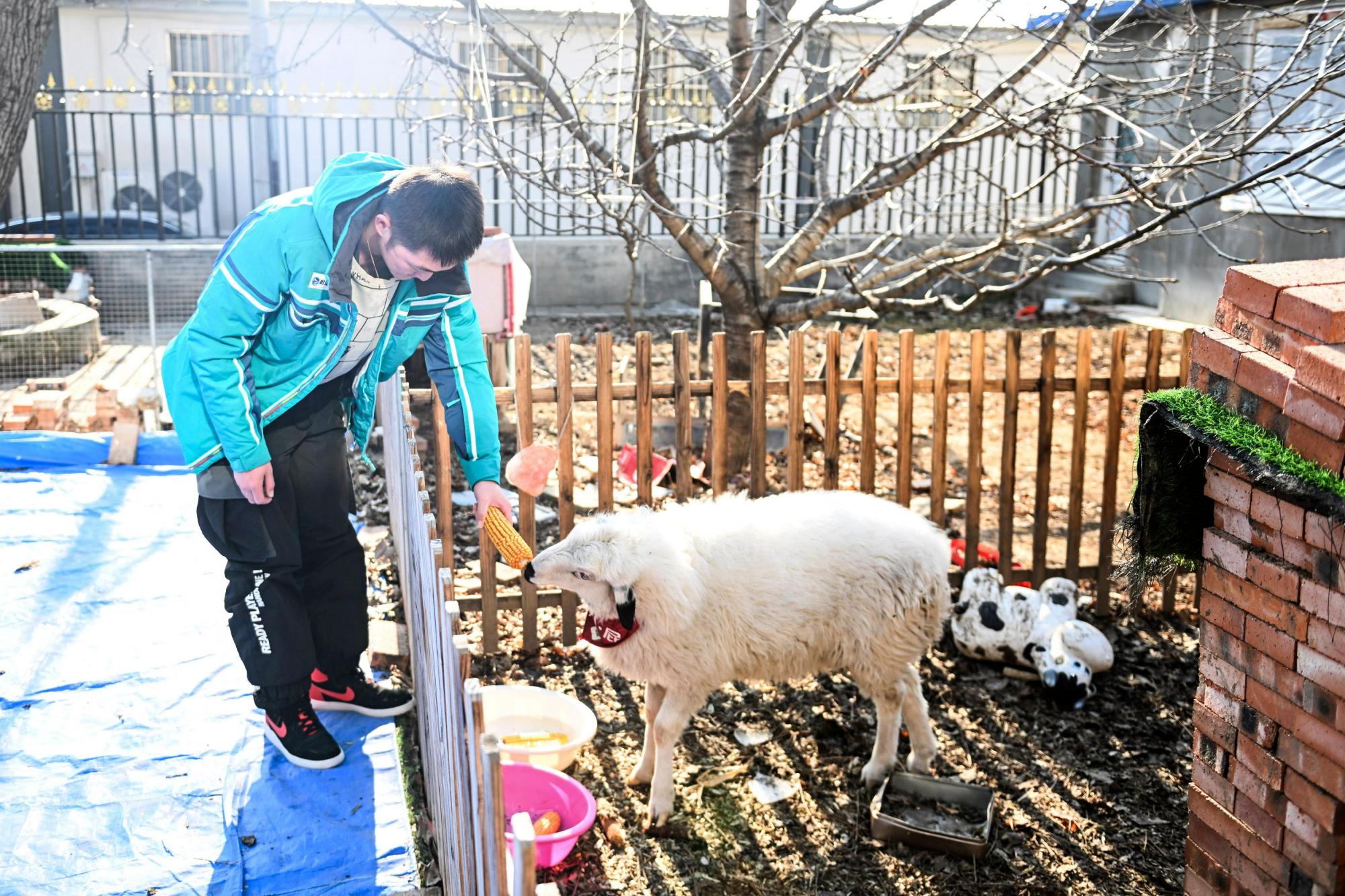 包含名宿加盟教练组，传授经验助力球队发展的词条
